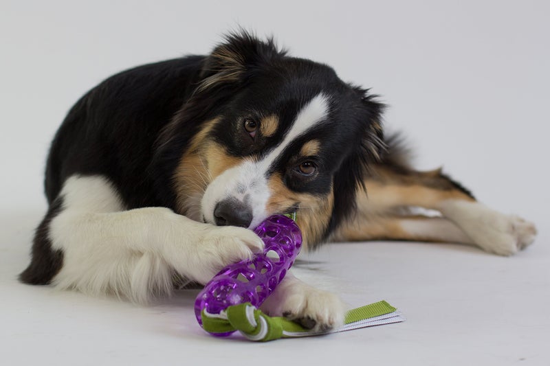 Hero TugTime Soft Rubber Baton, Purple Dog Toy - Image 4